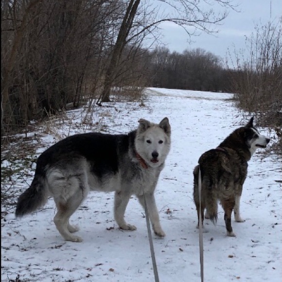 Meet your Posher, Karen - Picture 2 of 16